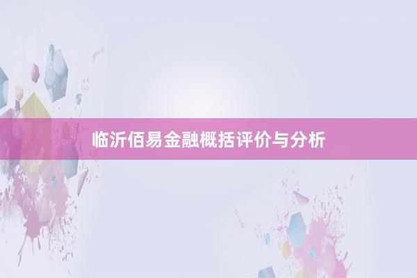 临沂佰易金融概括评价与分析