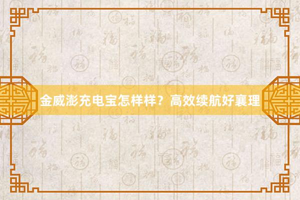 金威澎充电宝怎样样？高效续航好襄理