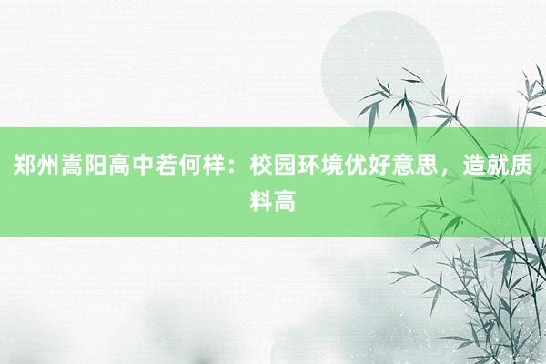郑州嵩阳高中若何样：校园环境优好意思，造就质料高